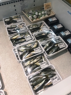 写真 2019-06-28 11 32 17.jpg