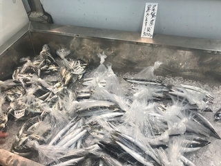 写真 2019-09-12 11 03 47.jpg