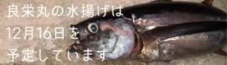 g1216.png