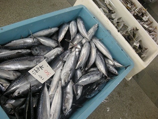 DSCN2473.jpg