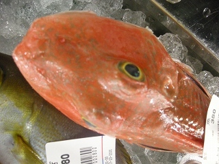 DSCN2475.jpg