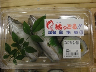 DSCN2554.jpg